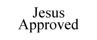 JESUS APPROVED