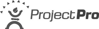 PROJECTPRO