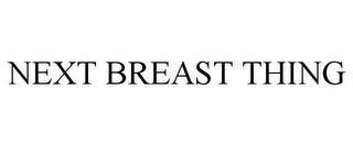 NEXT BREAST THING