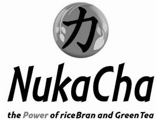 NUKACHA THE POWER OF RICE BRAN AND GREAN TEA