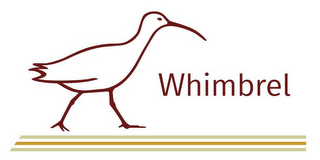 WHIMBREL