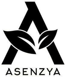 A ASENZYA