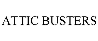 ATTIC BUSTERS