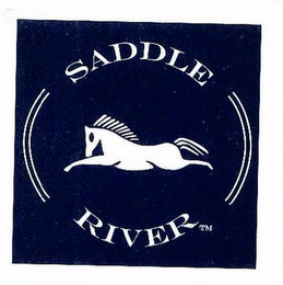 SADDLE RIVER