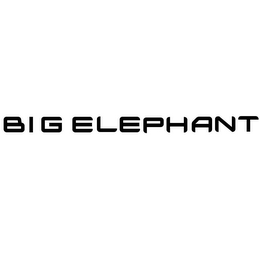 BIG ELEPHANT