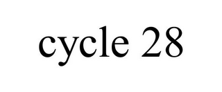 CYCLE 28