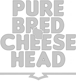 PURE BRED CHEESE HEAD