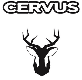 CERVUS