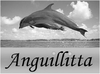 ANGUILLITTA