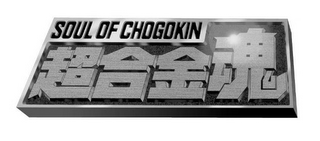 SOUL OF CHOGOKIN