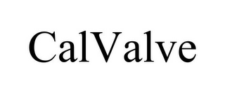 CALVALVE