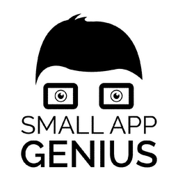 SMALL APP GENIUS