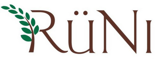 RÜNI