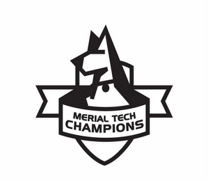 MERIAL TECH CHAMPIONS