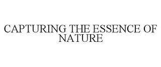 CAPTURING THE ESSENCE OF NATURE