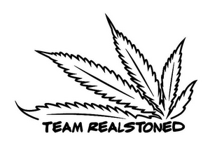 TEAM REALSTONED