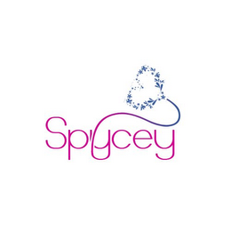 SPYCEY