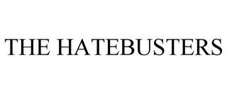 THE HATEBUSTERS