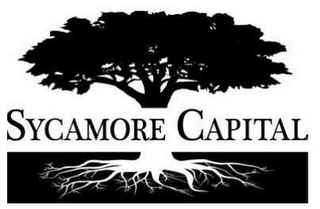 SYCAMORE CAPITAL