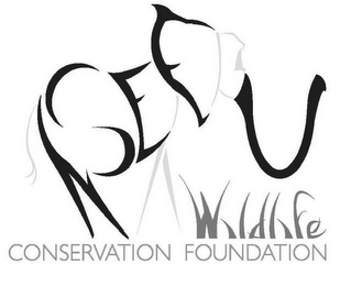 NSEFU WILDLIFE CONSERVATION FOUNDATION