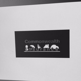 COMMONWEALTH INSURANCE