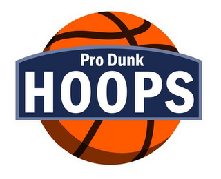 PRO DUNK HOOPS