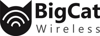 BIGCAT WIRELESS