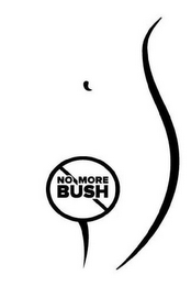 NO MORE BUSH