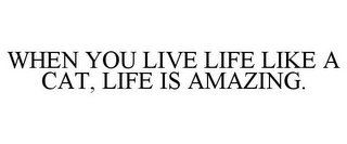 WHEN YOU LIVE LIFE LIKE A CAT, LIFE IS AMAZING.