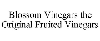 BLOSSOM VINEGARS THE ORIGINAL FRUITED VINEGARS