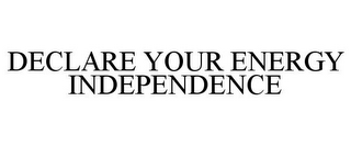 DECLARE YOUR ENERGY INDEPENDENCE