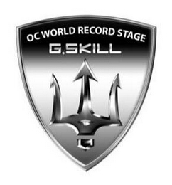 OC WORLD RECORD STAGE G.SKILL