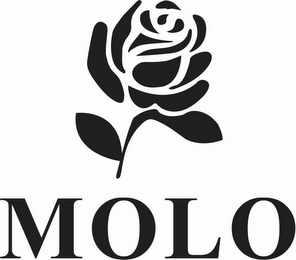 MOLO