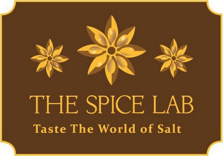 THE SPICE LAB TASTE THE WORLD OF SALT