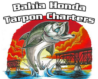 BAHIA HONDA TARPON CHARTERS