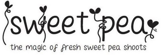 SWEET PEA THE MAGIC OF FRESH SWEET PEA SHOOTS