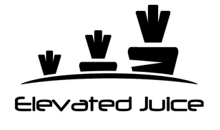 ELEVATED JUICE