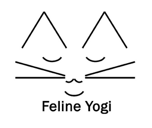 FELINE YOGI