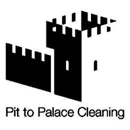 PIT TO PALACE CLEANING