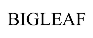 BIGLEAF