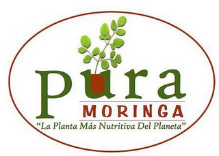 PURA MORINGA "LA PLANTA MÁS NUTRITIVA DEL PLANETA"