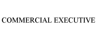 COMMERCIAL EXECUTIVE