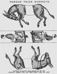 FAMOUS TRICK DONKEYS. CUT ON THE LINES AND LAY THE THREE PIECES SO AS TO SHOW THE JOCKEYS RACING.