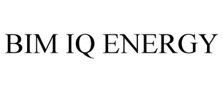 BIM IQ ENERGY
