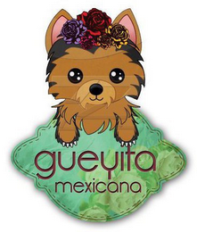 GÜEYITA MEXICANA