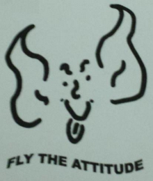 FLY THE ATTITUDE