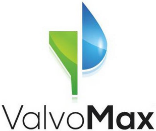 VALVOMAX