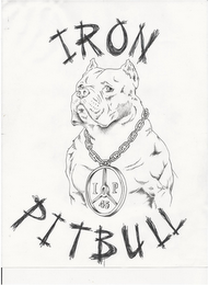 IRON PITBULL I P 45