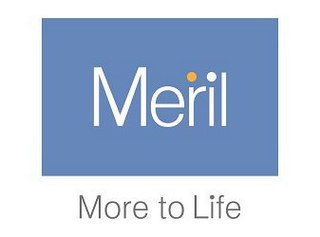 MERIL MORE TO LIFE