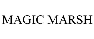 MAGIC MARSH